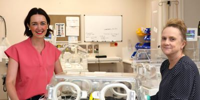 New transfer cot for Yandilla Image