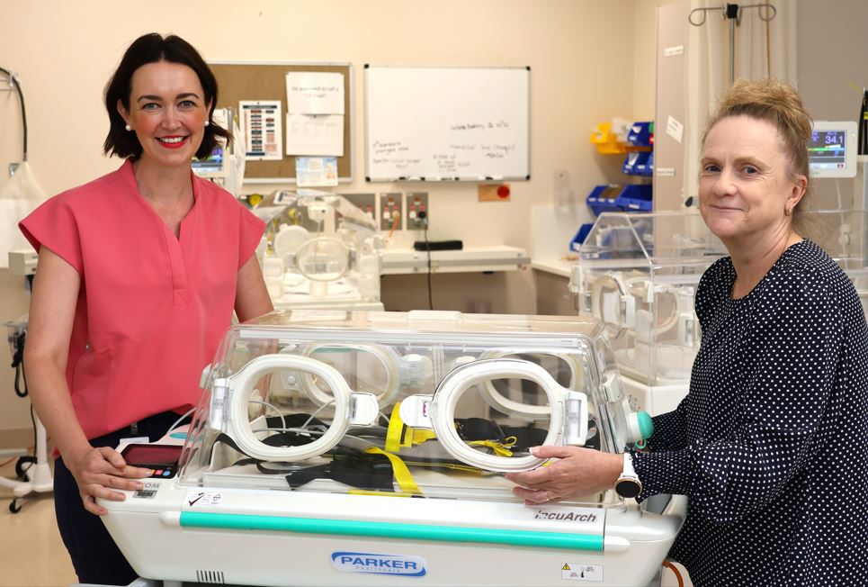 New Transfer Cot For Yandilla